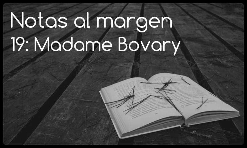 Notas al margen 19: Madame Bovary