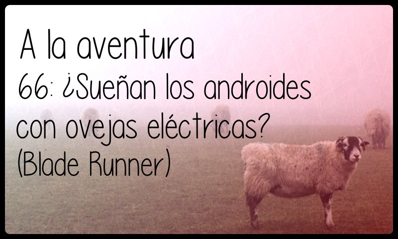 66: Sueñan los androides con ovejas eléctricas