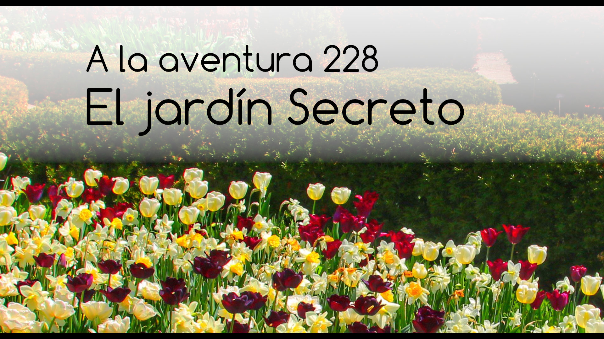 228: El jardín secreto