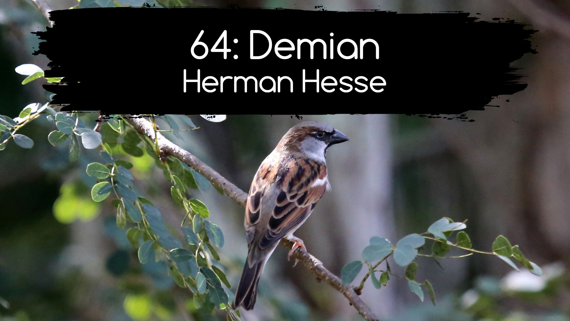 64: Demian. Hermann Hesse