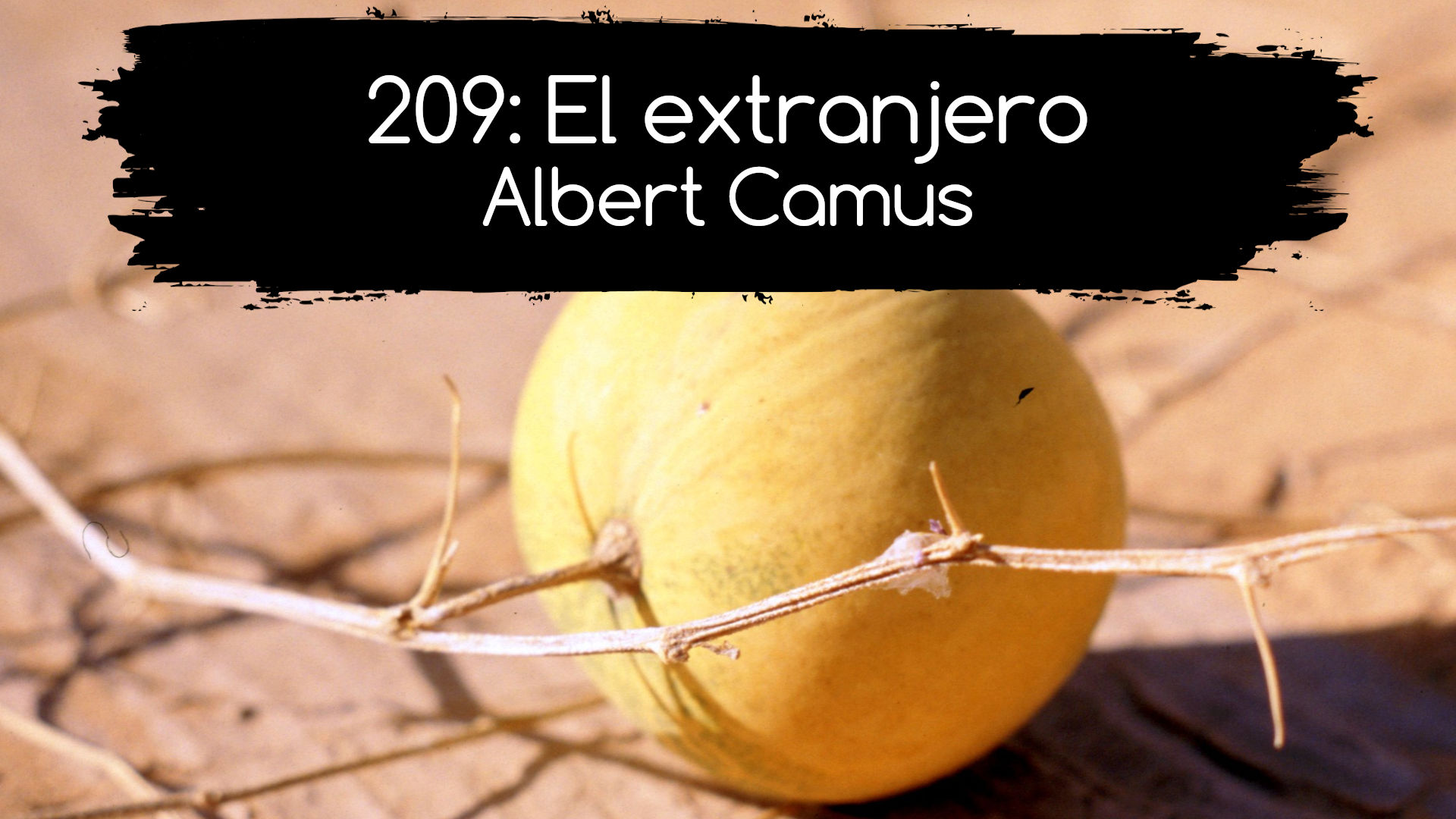 209: El extranjero. Albert Camus